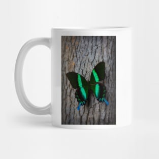 Green Blue Butterfly Resting On Tree Mug